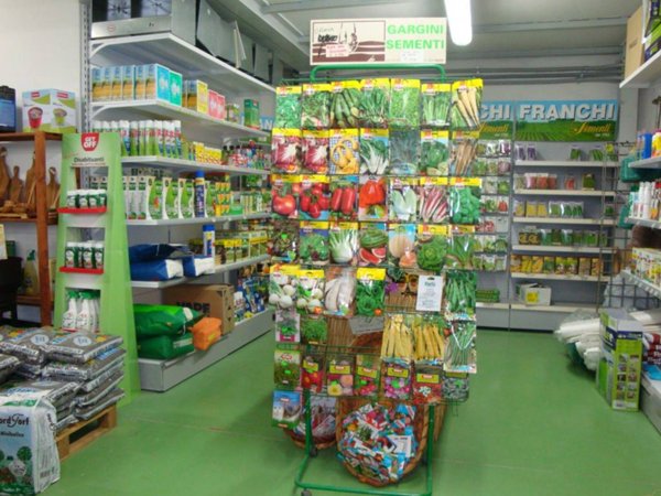 negozio in vendita a Massarosa in zona Quiesa