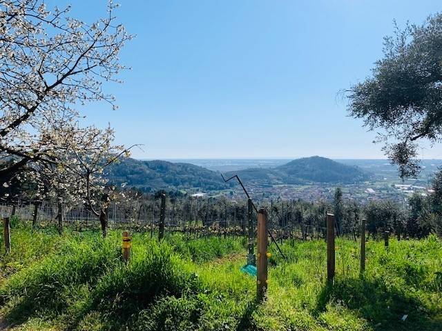 negozio in vendita a Massarosa in zona Stiava