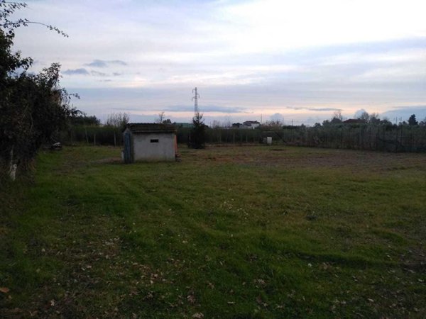terreno agricolo in vendita a Massarosa