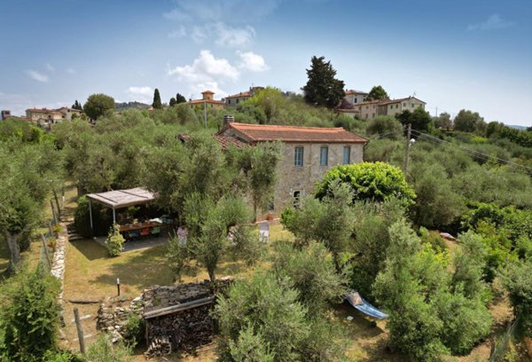 esavano in affitto a Massarosa