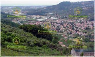 negozio in vendita a Massarosa in zona Bozzano