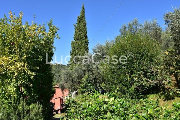 casa indipendente in vendita a Massarosa in zona Stiava