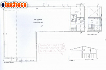 negozio in vendita a Massarosa
