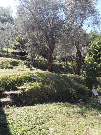 casa indipendente in vendita a Massarosa in zona Bozzano