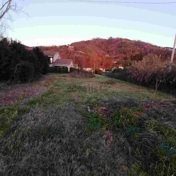 casa indipendente in vendita a Massarosa