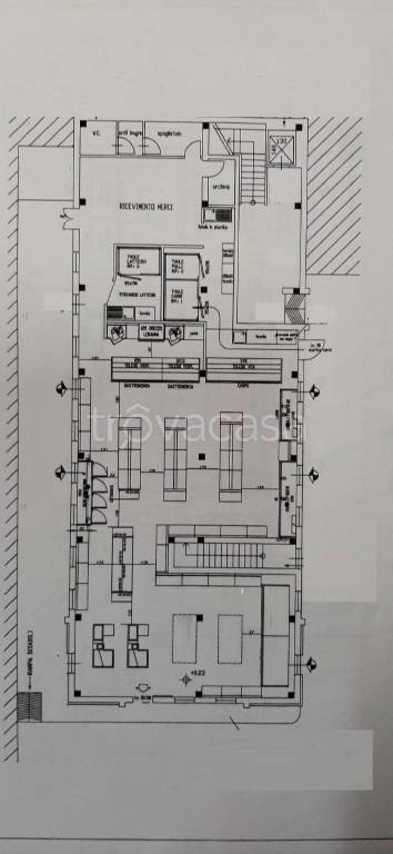 negozio in vendita a Massarosa
