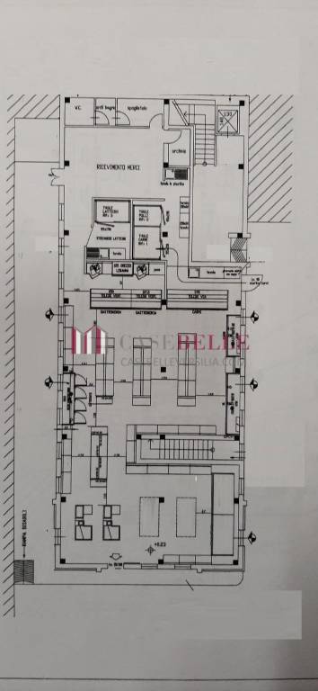 negozio in vendita a Massarosa