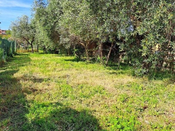 casa indipendente in vendita a Massarosa