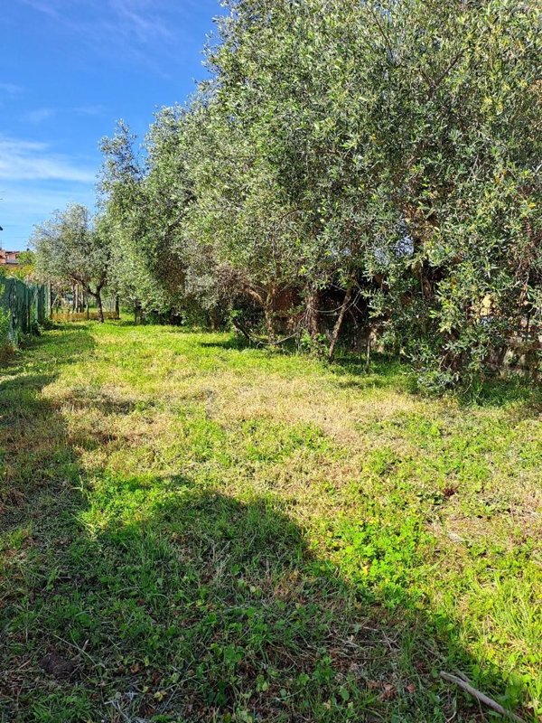 casa indipendente in vendita a Massarosa