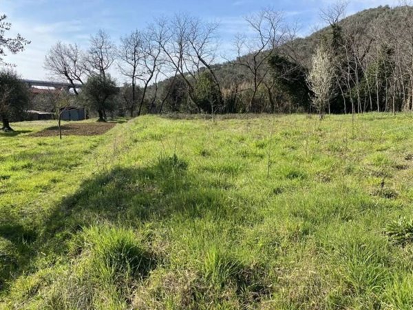 terreno agricolo in vendita a Massarosa