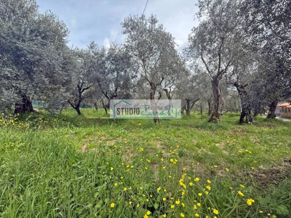 terreno edificabile in vendita a Massarosa in zona Stiava