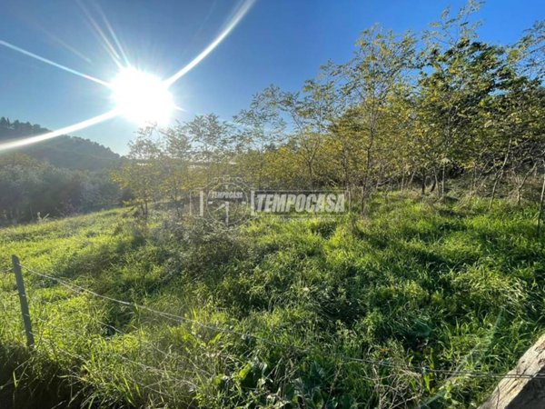 terreno agricolo in vendita a Massarosa