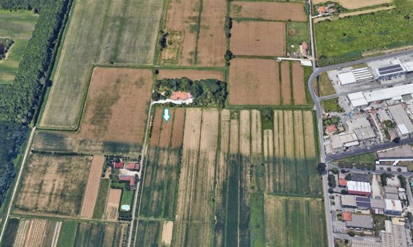 terreno agricolo in vendita a Massarosa