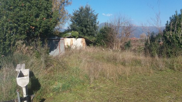 terreno agricolo in vendita a Massarosa in zona Piano del Quercione