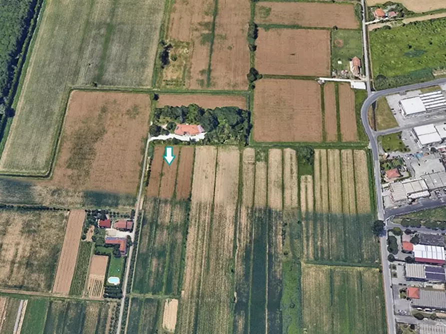 terreno agricolo in vendita a Massarosa