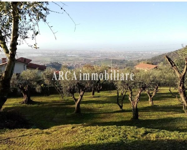 terreno agricolo in vendita a Massarosa in zona Bargecchia
