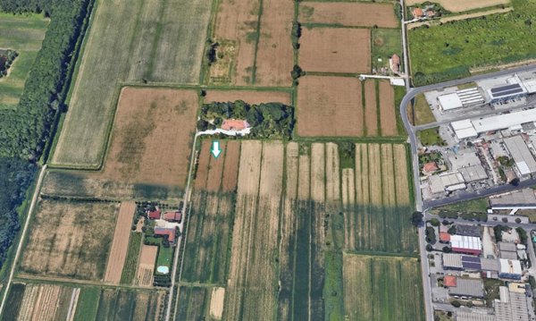 terreno agricolo in vendita a Massarosa