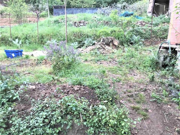 casa indipendente in vendita a Massarosa in zona Bozzano
