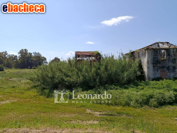 casa indipendente in vendita a Massarosa