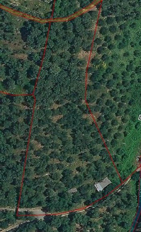 terreno agricolo in vendita a Massarosa in zona Stiava