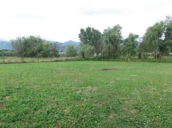 terreno agricolo in vendita a Massarosa in zona Mommio