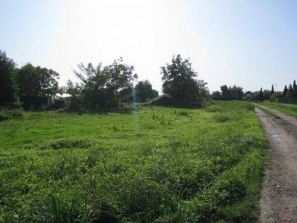 terreno agricolo in vendita a Massarosa in zona Corsanico