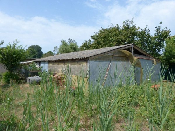 terreno agricolo in vendita a Massarosa in zona Stiava