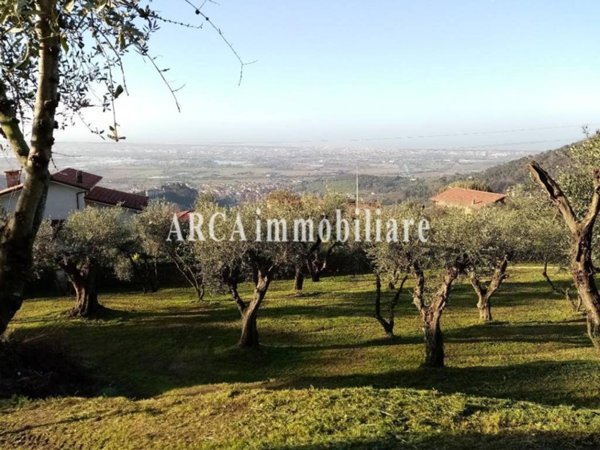 terreno agricolo in vendita a Massarosa in zona Bargecchia