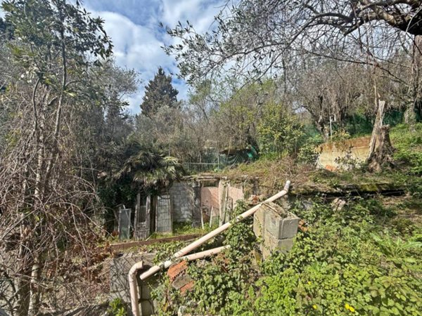 terreno edificabile in vendita a Massarosa in zona Corsanico