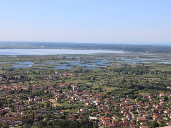 casa indipendente in vendita a Massarosa in zona Pieve a Elici