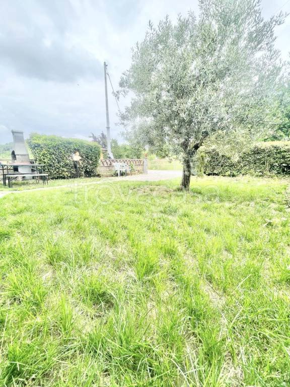 appartamento in vendita a Massarosa