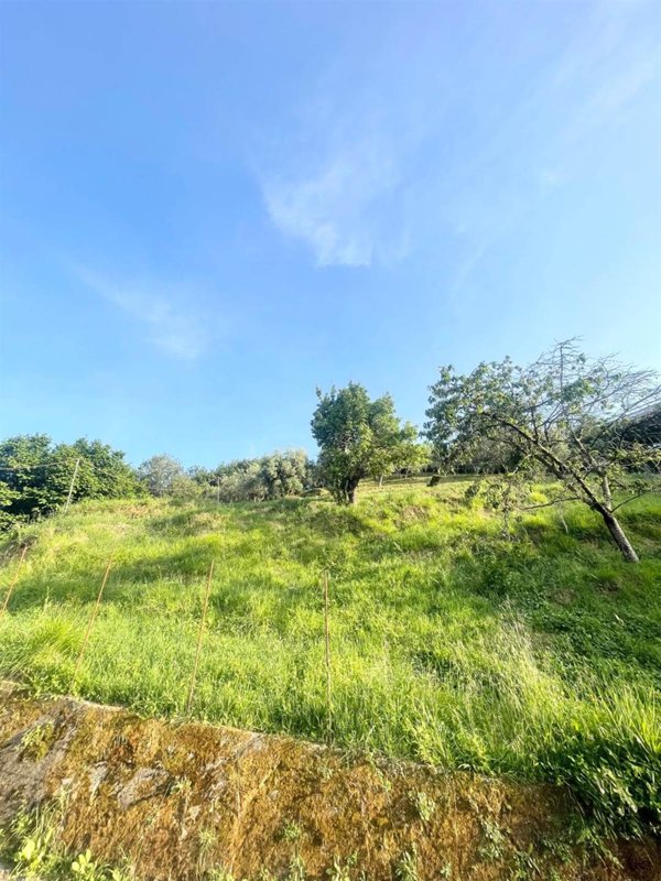 casa indipendente in vendita a Massarosa