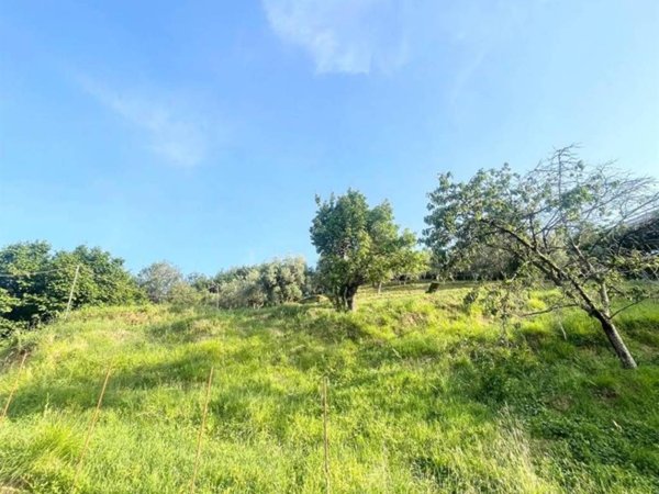 casa indipendente in vendita a Massarosa