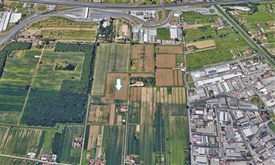terreno agricolo in vendita a Massarosa