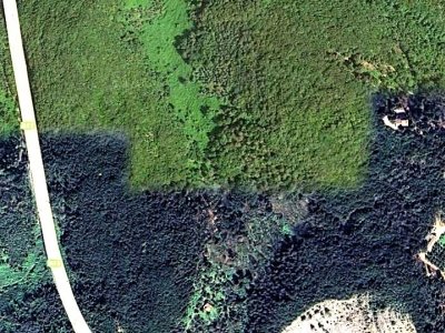 terreno edificabile in vendita a Massarosa