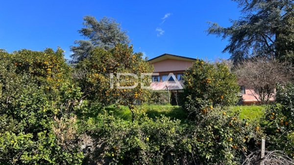 casa indipendente in vendita a Massarosa