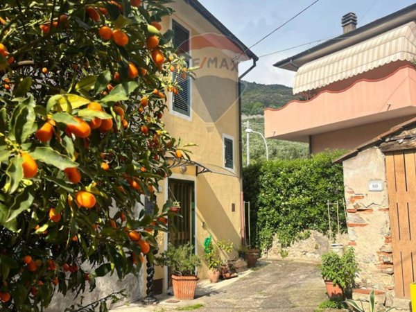 casa indipendente in vendita a Massarosa in zona Bozzano