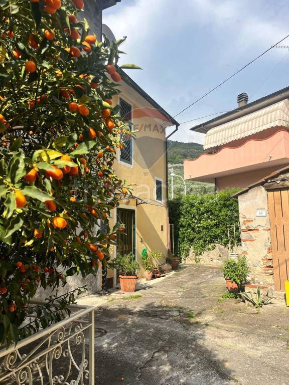 casa indipendente in vendita a Massarosa in zona Bozzano