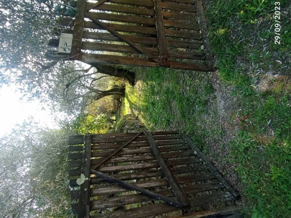 terreno agricolo in vendita a Massarosa in zona Stiava