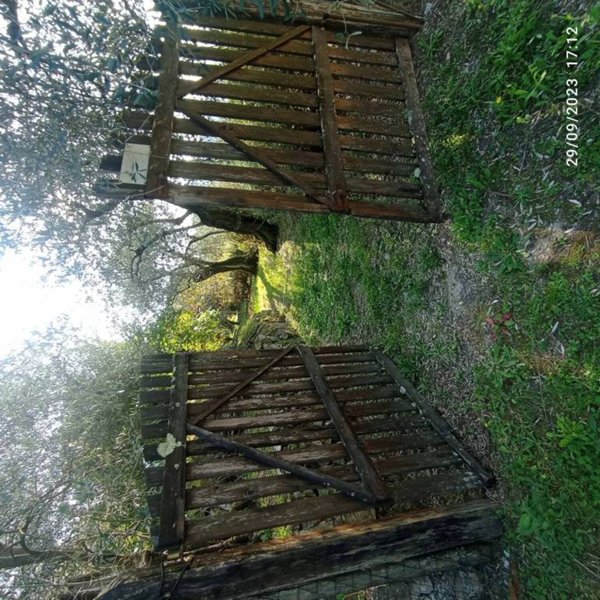 terreno agricolo in vendita a Massarosa in zona Stiava