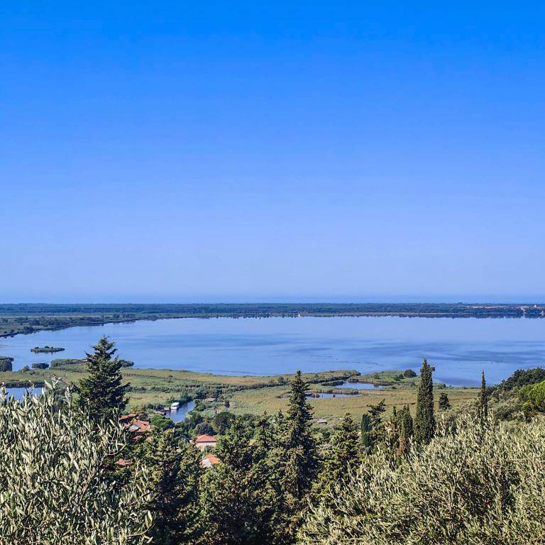 villa in vendita a Massarosa in zona Massaciuccoli