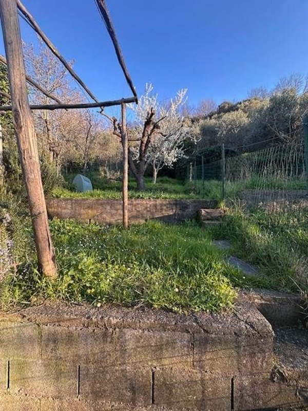 casa indipendente in vendita a Massarosa