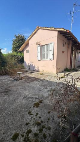 immagine annuncio 0 di 1