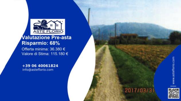 terreno agricolo in vendita a Massarosa