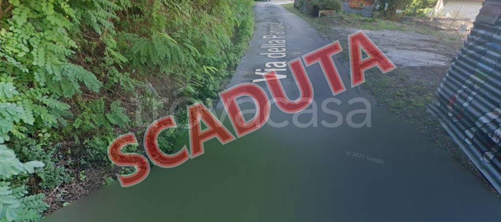 terreno agricolo in vendita a Massarosa in zona Bozzano