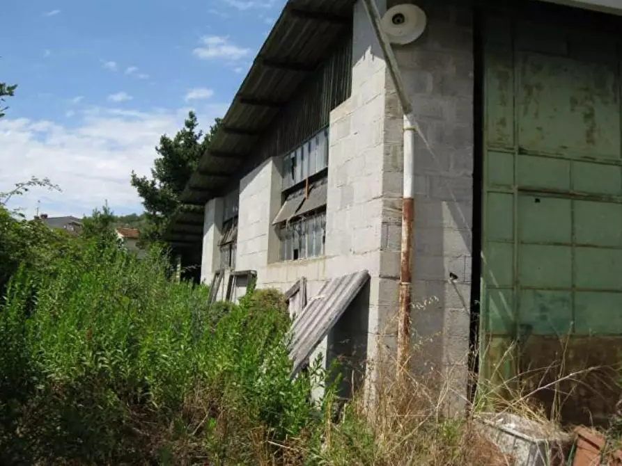 appartamento in vendita a Massarosa