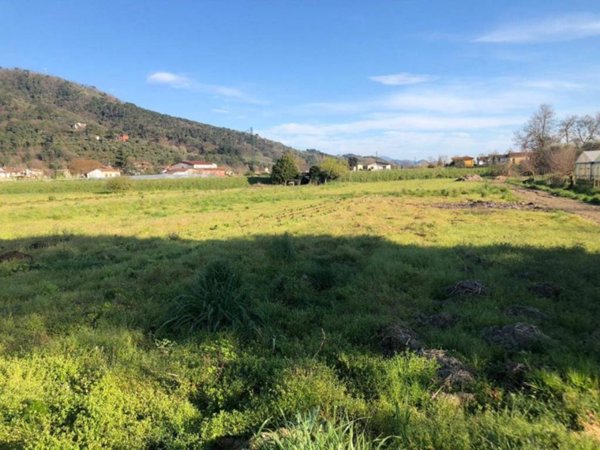 casa indipendente in vendita a Massarosa in zona Piano di Mommio