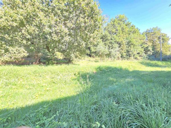 terreno agricolo in vendita a Massarosa in zona Piano di Conca