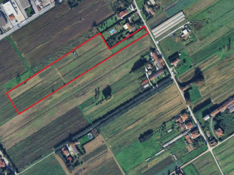 terreno agricolo in vendita a Massarosa in zona Piano di Mommio