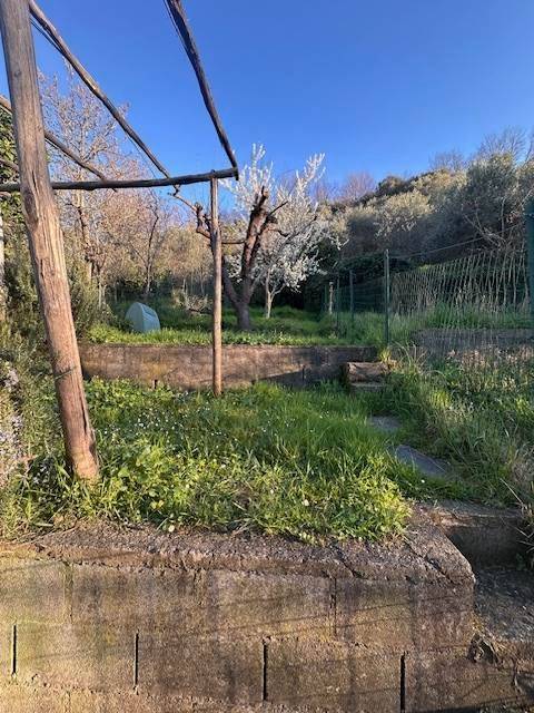 casa indipendente in vendita a Massarosa